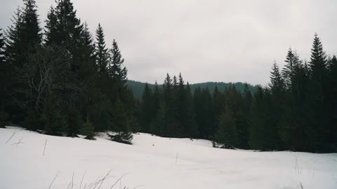 Heavy rain falls on the trees in the forest in the mountains, panorama of the Stock Footage 238643305