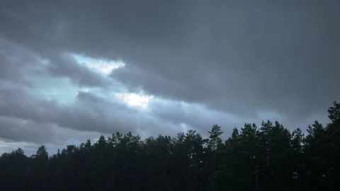 Heavy rain falls under dark stormy clouds over a pine forest silhouette Vídeo Stock 339366472