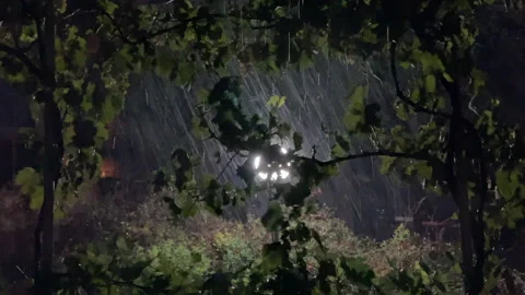 Heavy rain flashes lightning hurricane at night 库存影片 220267339