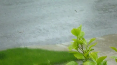 Heavy Rain Stock Footage 727344