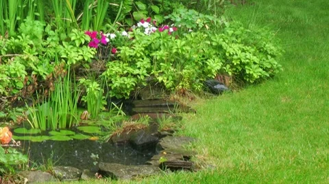 Heavy Rain Stock Footage 7900265