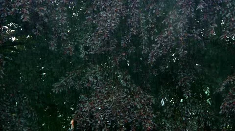 Heavy rain Stock Footage 22665423