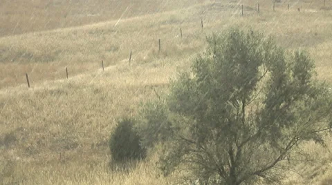 Heavy Rain Stock Footage 54734348