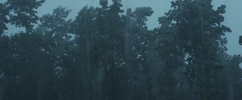 Heavy Rain Stock Footage 78980494