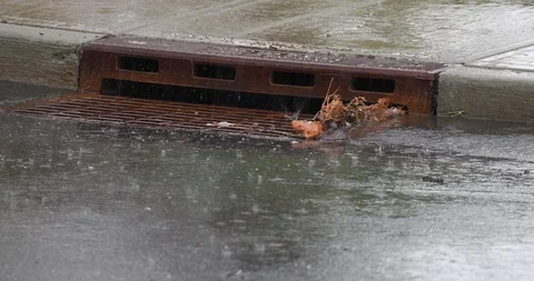 Heavy Rain Stock Footage 88551443