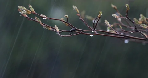 Heavy Rain Stock Footage 88603842