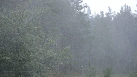 Heavy Rain Video stock 90861855