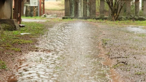 Heavy rain Stock Footage 128624912