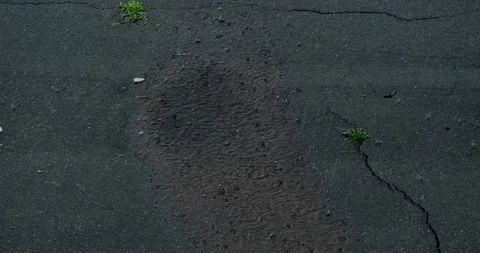 Heavy rain Stock Footage 136560042