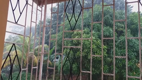 Heavy Rain Stock Footage 142550484