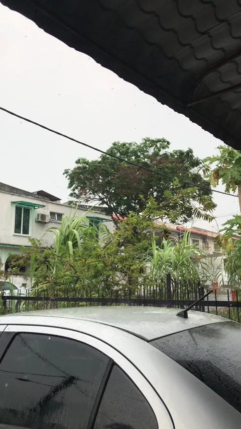 Heavy rain Stock Footage 149971892