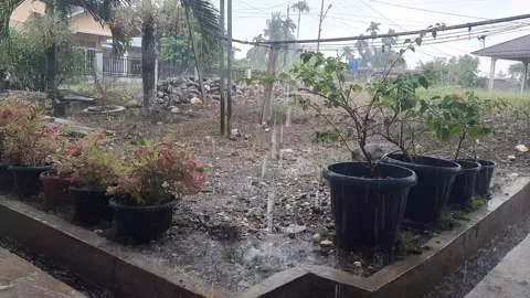 Heavy rain 스톡 동영상 154308222