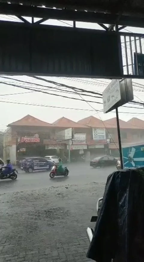 Heavy rain Stock Footage 172051002