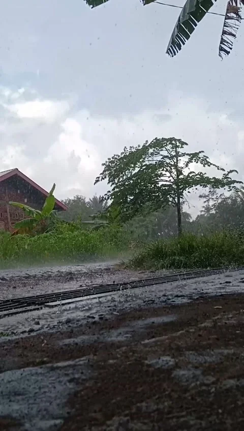 Heavy Rain Video stock 202166695