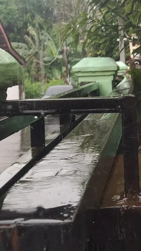 Heavy rain Stock Footage 207089874