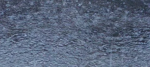 Heavy rain Stock Footage 232661046