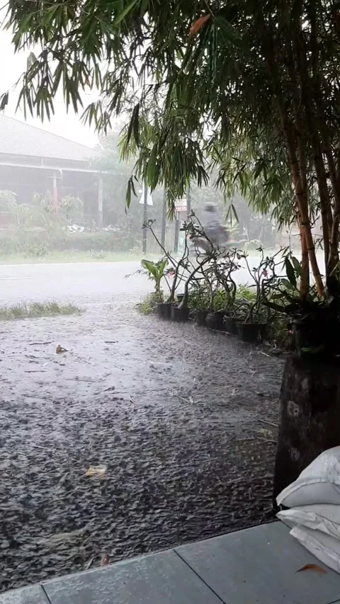 Heavy rain Stock Footage 233317337