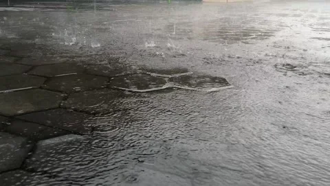 Heavy rain Stock Footage 236953103