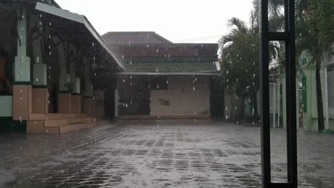 Heavy rain Stock Footage 237404645