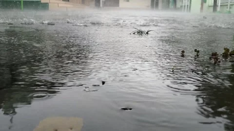Heavy rain Stock Footage 237404646