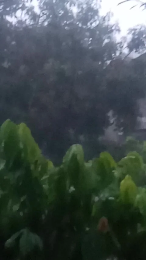 Heavy rain 스톡 동영상 240939919