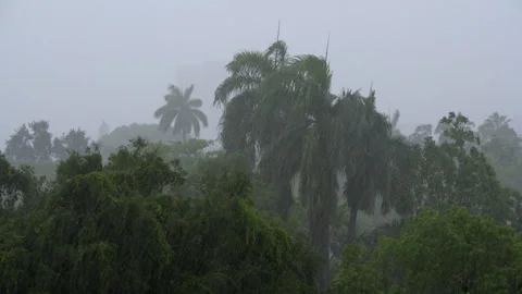 HEAVY RAIN  Stock Footage 250359048
