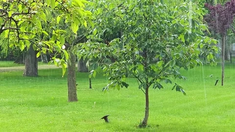 Heavy rain Video stock 276770227