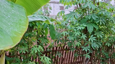 Heavy Rain Stock Footage 291511333