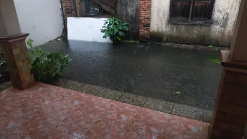 Heavy rain Stock Footage 303026322