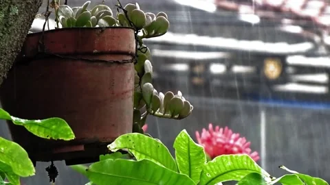 Heavy rain Stock Footage 304081467