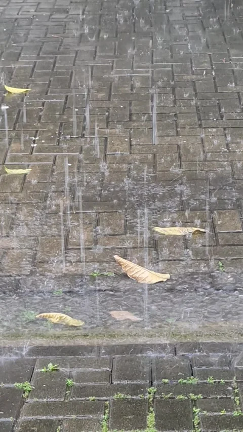 Heavy Rain Stock Footage 308686111