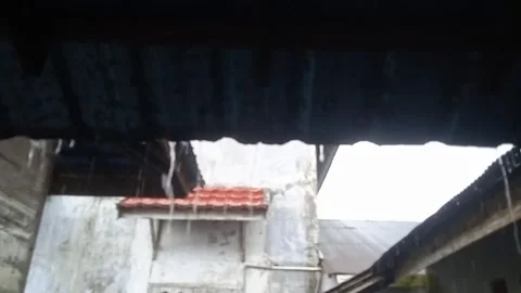 Heavy rain Stock Footage 309617849