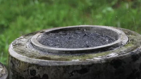 Heavy rain Stock Footage 323067260