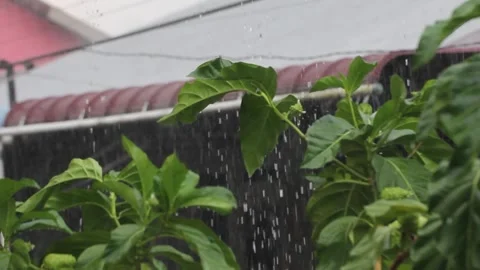 Heavy rain Stock Footage 323067375