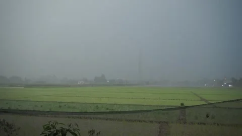 Heavy rain Video stock 330209617