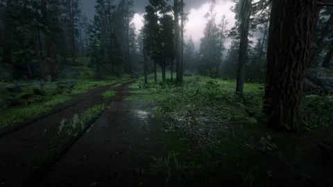 Heavy rain in forest water Stock Footage 266759628