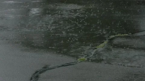 Heavy Rain Forming Puddles Stock Footage 40846248
