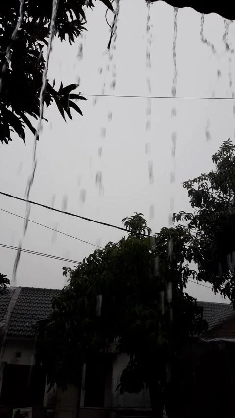 Heavy Rain at the Frontyard Stock Footage 297036629