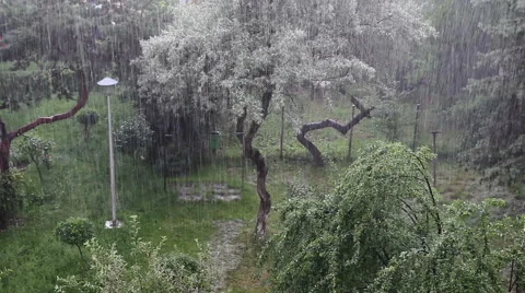 Heavy Rain In The Garden Video stock 68819761