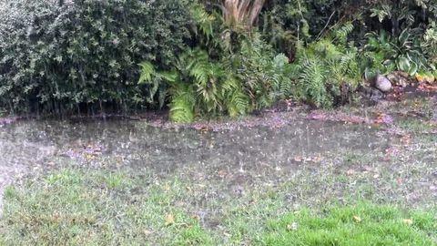 Heavy Rain in the garden Stock Footage 94756269