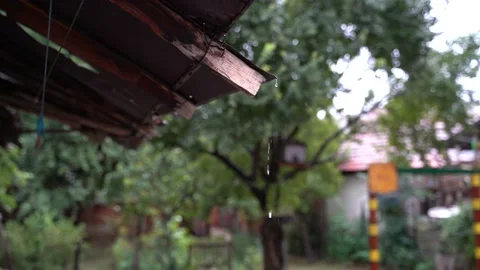 Heavy rain in the garden on rusty roofing sheets Stock Footage 166906705