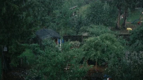 Heavy rain in green landscape, shot in slow motion Stock Footage