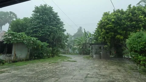 The heavy rain has been pouring for more than two hours Stock Footage 300223055
