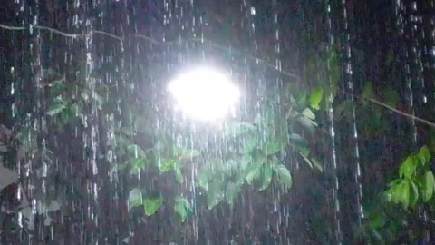 The heavy rain that hit the night lights Stock Footage 255787902