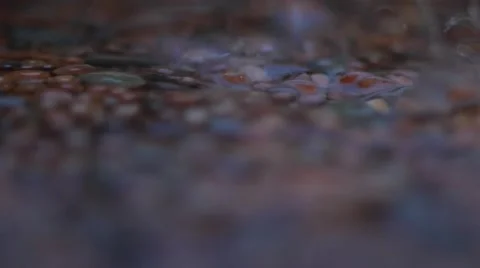 Heavy rain hitting the ground Video stock 65786832