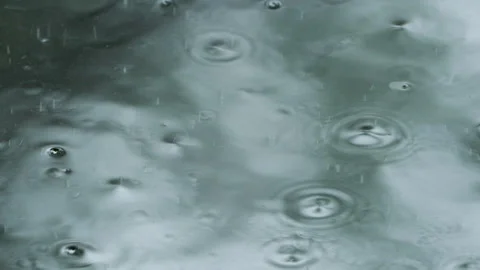 Heavy rain hitting the ground Stock Footage 221585308