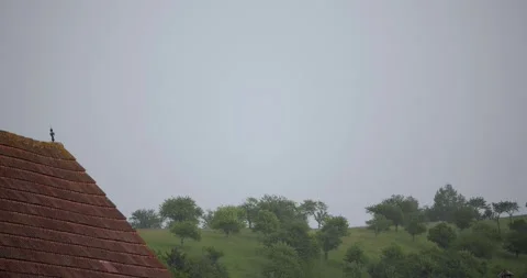 Heavy rain with lightning Stock Footage 244585152