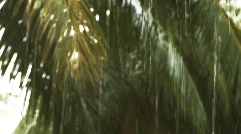 Heavy rain in the Maldives. Stock Footage 48301815