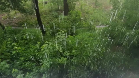 Heavy rain outside Stock Footage 155391791