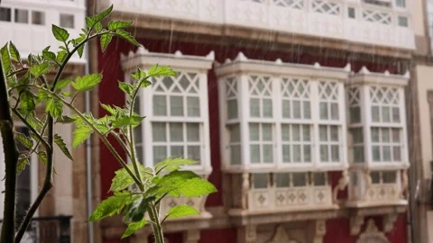 Heavy rain outside, view of the beautiful, ancient city Stock Footage 214560090